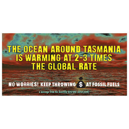 Guerrilla Girls The Ocean Around Tasmania poster